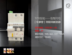 物聯網斷路器（2P）